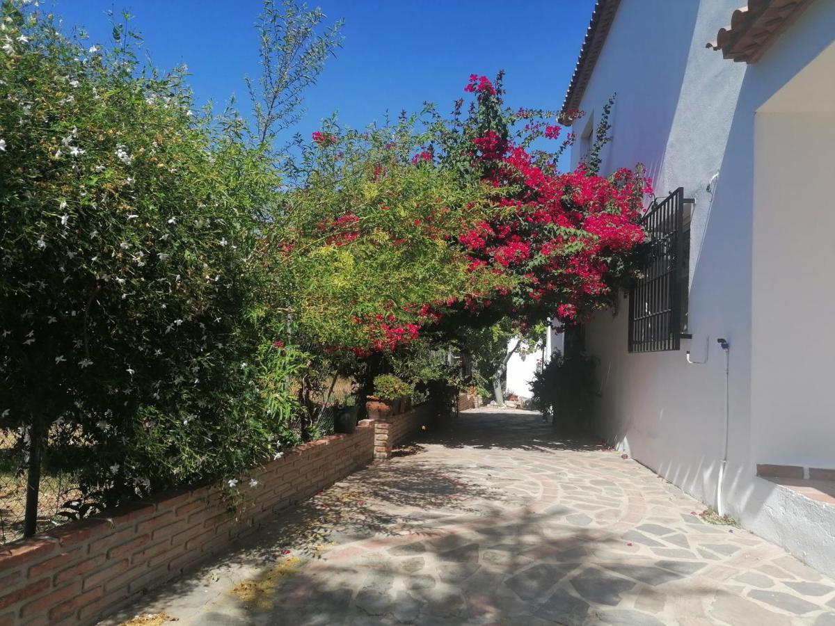 Viñuela Casa Luisヴィラ エクステリア 写真